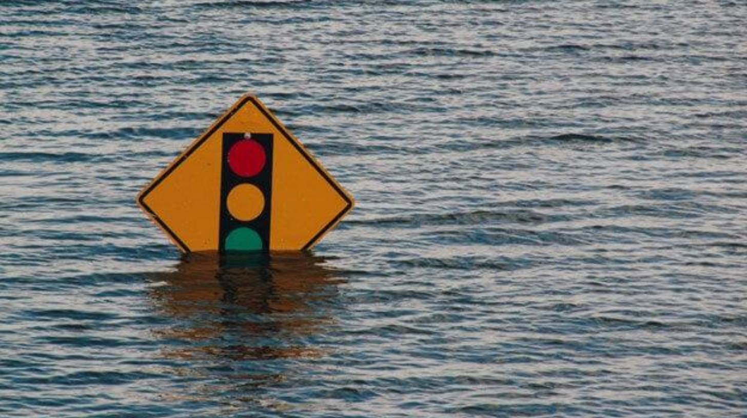  Reduce Emissions And Help Fight Climate Change